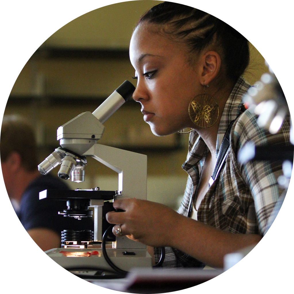 Reading apprenticeship and science instruction in high school biology