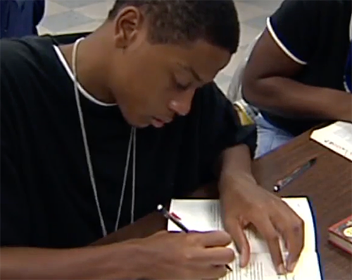 Academic Literacy, Grade 9